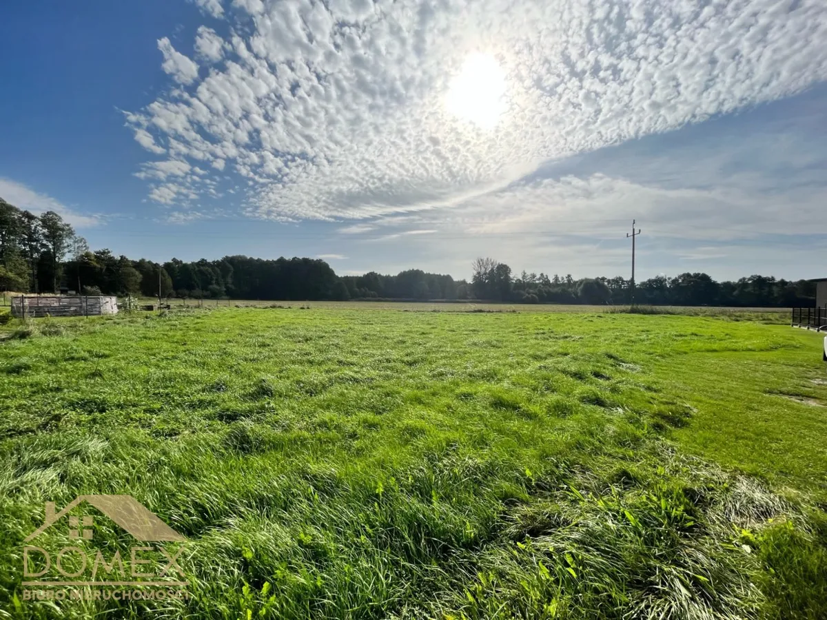 Działka 1250 m² - Godów, Skrzyszów - zdjecie 2