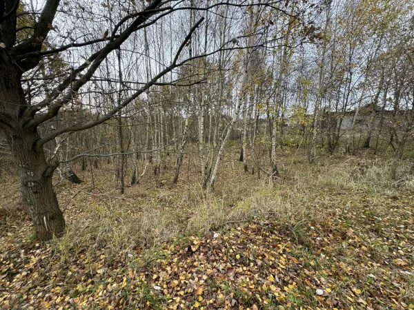 Działka 1260 m² - Mszana