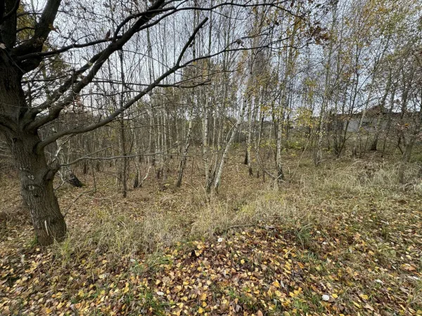 Działka 1110 m² - Mszana