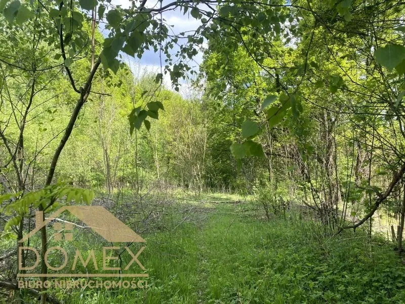 Działka 6670 m² - Rybnik, Popielów - zdjecie 2