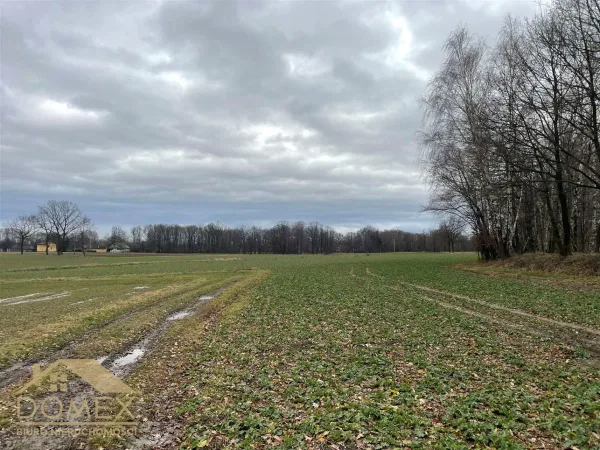 Działka 6500 m² - Strumień (gw), Zabłocie