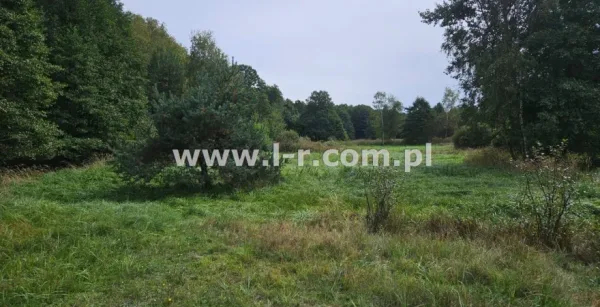 Działka 6820 m² - Łyski, Sumina