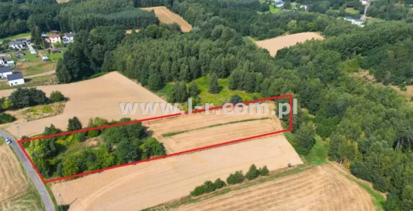 Działka 7524 m² - Mszana, Gogołowa