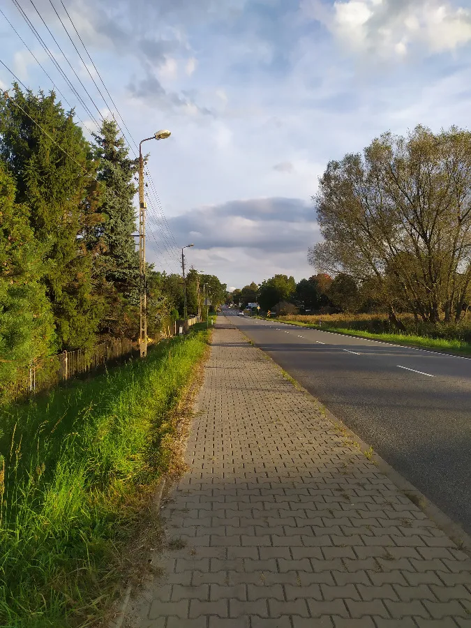 Działka 1856 m² - Tarnowskie Góry, Strzybnica - zdjecie 2
