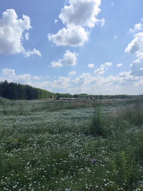 Działka 744 m² - Wieszowa, os. Wieszowa